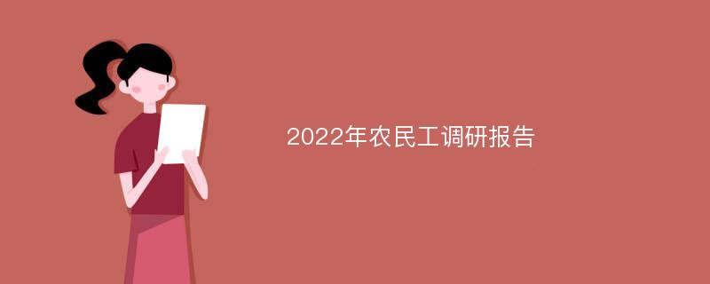 2022年农民工调研报告