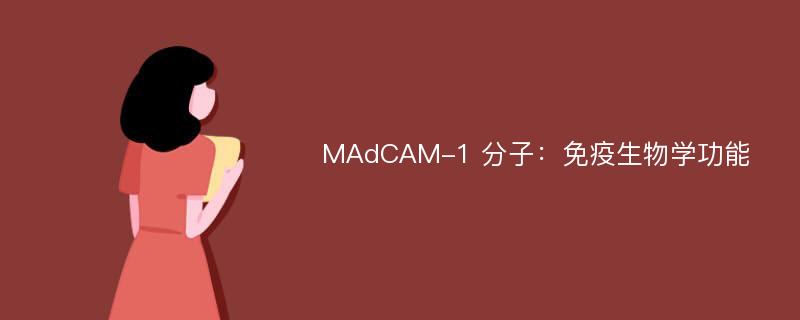 MAdCAM-1 分子：免疫生物学功能