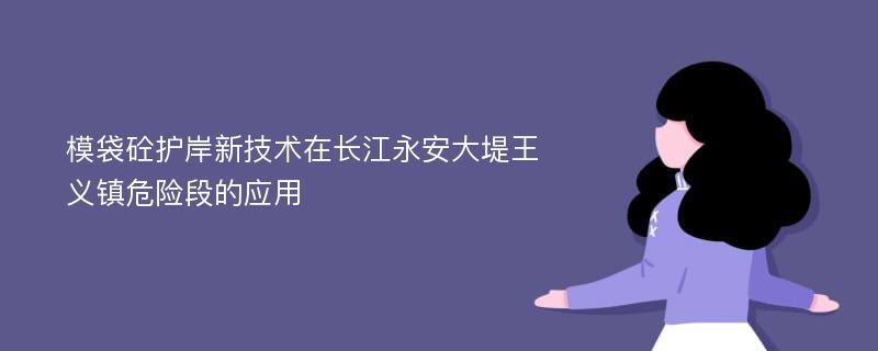 模袋砼护岸新技术在长江永安大堤王义镇危险段的应用