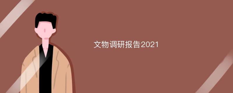 文物调研报告2021